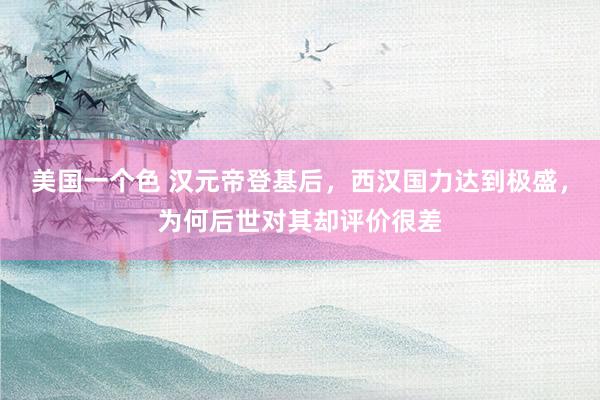 美国一个色 汉元帝登基后，西汉国力达到极盛，为何后世对其却评价很差
