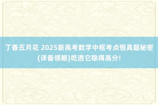 丁香五月花 2025新高考数学中枢考点悟真题秘密(详备领略)吃透它稳得高分!