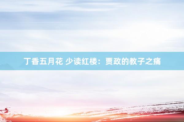 丁香五月花 少读红楼：贾政的教子之痛