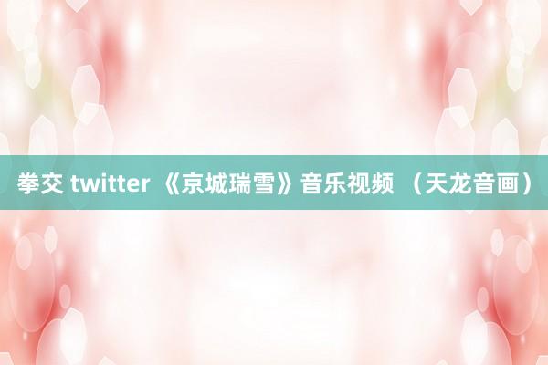 拳交 twitter 《京城瑞雪》音乐视频 (天龙音画)