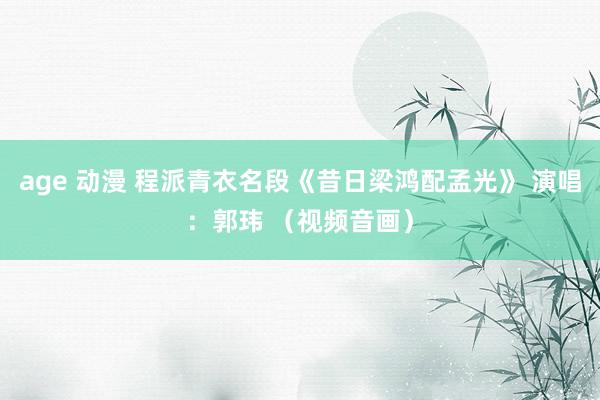 age 动漫 程派青衣名段《昔日梁鸿配孟光》 演唱：郭玮 （视频音画）