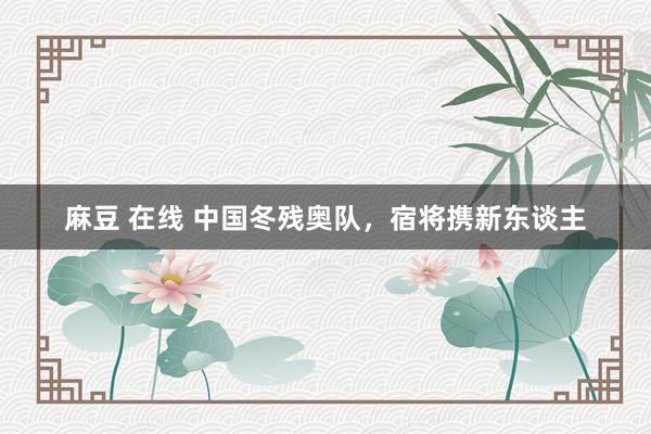 麻豆 在线 中国冬残奥队，宿将携新东谈主