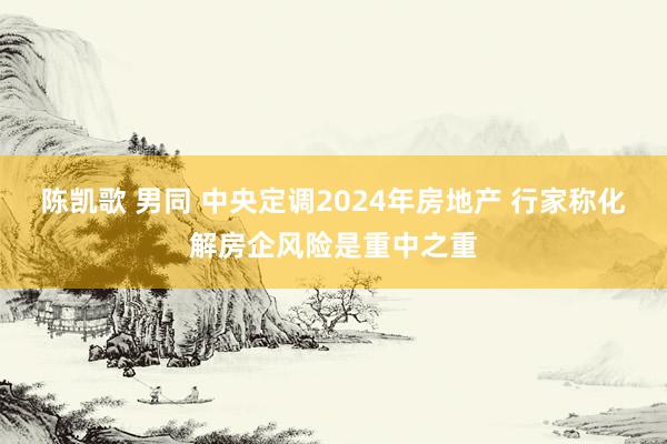 陈凯歌 男同 中央定调2024年房地产 行家称化解房企风险是重中之重