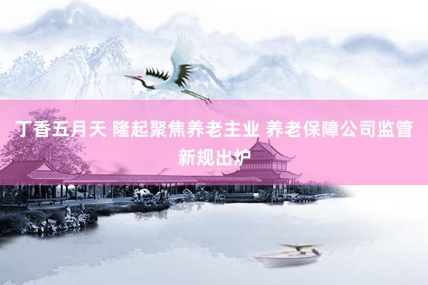 丁香五月天 隆起聚焦养老主业 养老保障公司监管新规出炉