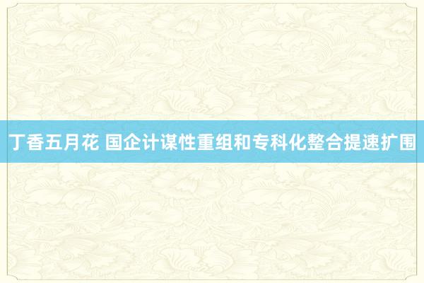 丁香五月花 国企计谋性重组和专科化整合提速扩围