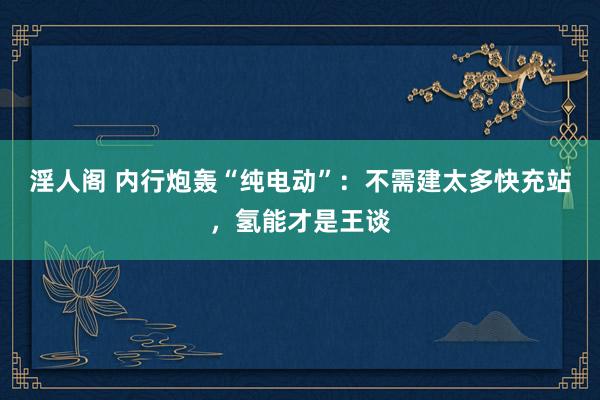 淫人阁 内行炮轰“纯电动”：不需建太多快充站，氢能才是王谈
