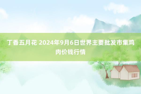 丁香五月花 2024年9月6日世界主要批发市集鸡肉价钱行情
