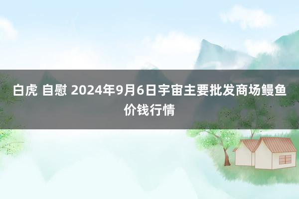 白虎 自慰 2024年9月6日宇宙主要批发商场鳗鱼价钱行情