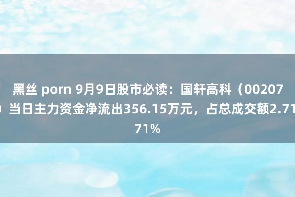 黑丝 porn 9月9日股市必读：国轩高科（002074）当日主力资金净流出356.15万元，占总成交额2.71%