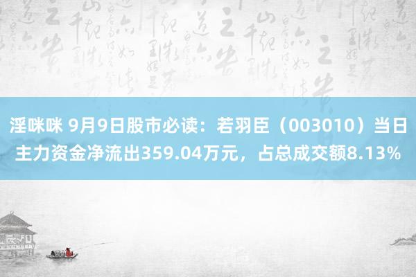 淫咪咪 9月9日股市必读：若羽臣（003010）当日主力资金净流出359.04万元，占总成交额8.13%