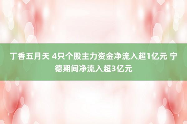 丁香五月天 4只个股主力资金净流入超1亿元 宁德期间净流入超3亿元