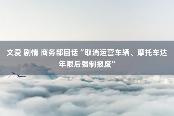 文爱 剧情 商务部回话“取消运营车辆、摩托车达年限后强制报废”