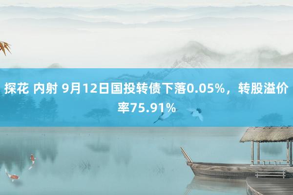 探花 内射 9月12日国投转债下落0.05%，转股溢价率75.91%
