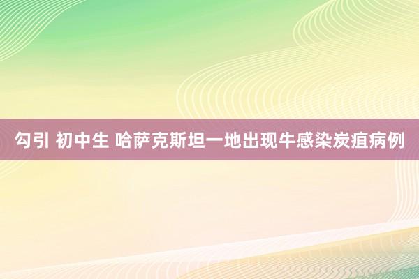 勾引 初中生 哈萨克斯坦一地出现牛感染炭疽病例