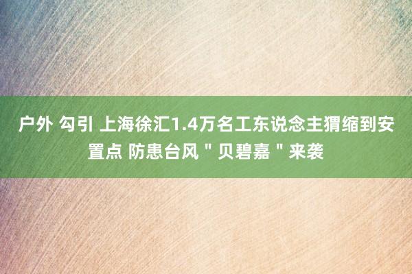 户外 勾引 上海徐汇1.4万名工东说念主猬缩到安置点 防患台风＂贝碧嘉＂来袭