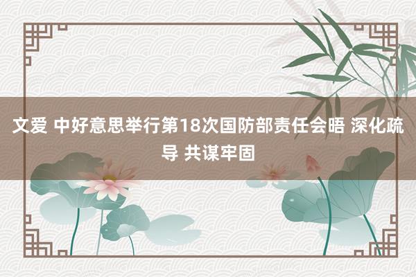 文爱 中好意思举行第18次国防部责任会晤 深化疏导 共谋牢固