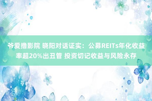 爷爱撸影院 晓阳对话证实：公募REITs年化收益率超20%出丑管 投资切记收益与风险永存