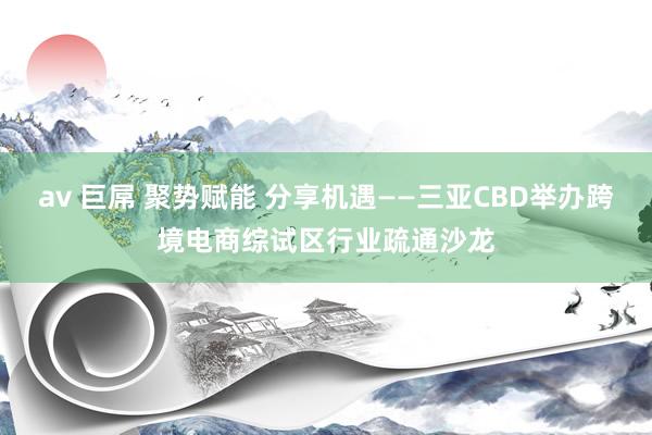 av 巨屌 聚势赋能 分享机遇——三亚CBD举办跨境电商综试区行业疏通沙龙