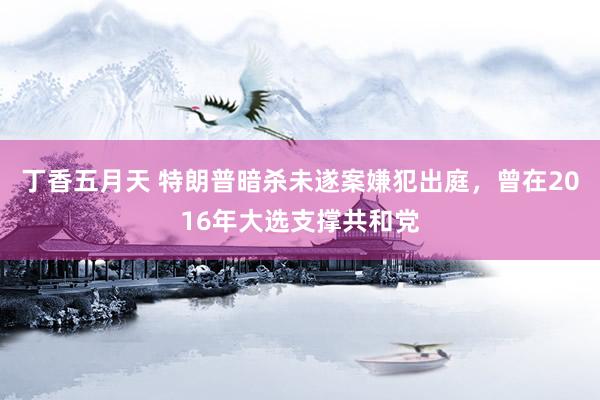 丁香五月天 特朗普暗杀未遂案嫌犯出庭，曾在2016年大选支撑共和党