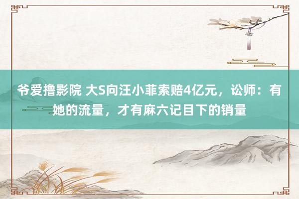 爷爱撸影院 大S向汪小菲索赔4亿元，讼师：有她的流量，才有麻六记目下的销量