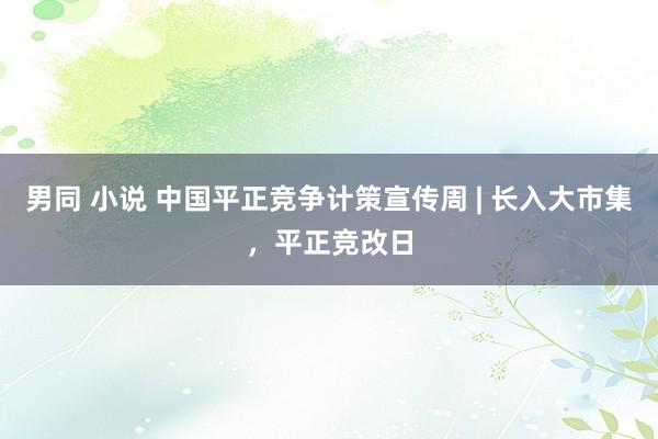 男同 小说 中国平正竞争计策宣传周 | 长入大市集，平正竞改日