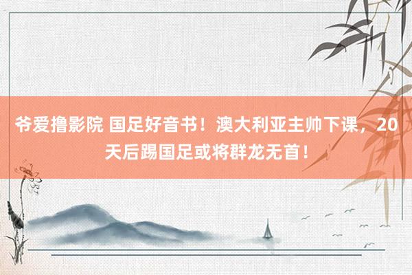 爷爱撸影院 国足好音书！澳大利亚主帅下课，20天后踢国足或将群龙无首！
