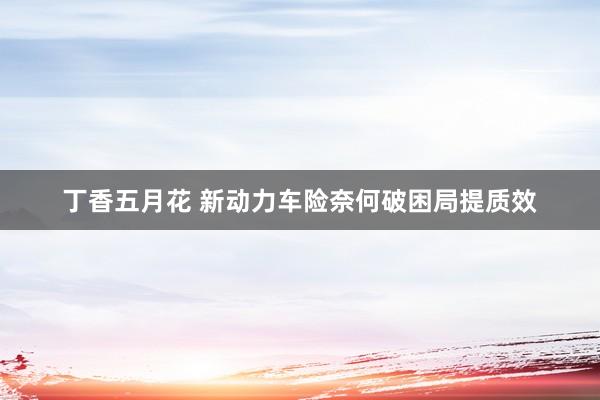 丁香五月花 新动力车险奈何破困局提质效