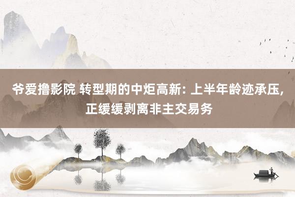 爷爱撸影院 转型期的中炬高新: 上半年龄迹承压， 正缓缓剥离非主交易务