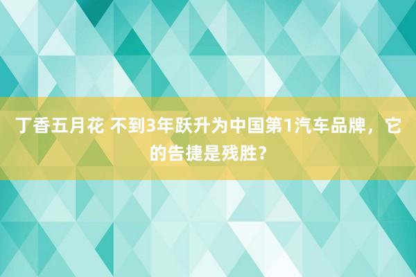 丁香五月花 不到3年跃升为中国第1汽车品牌，它的告捷是残胜？