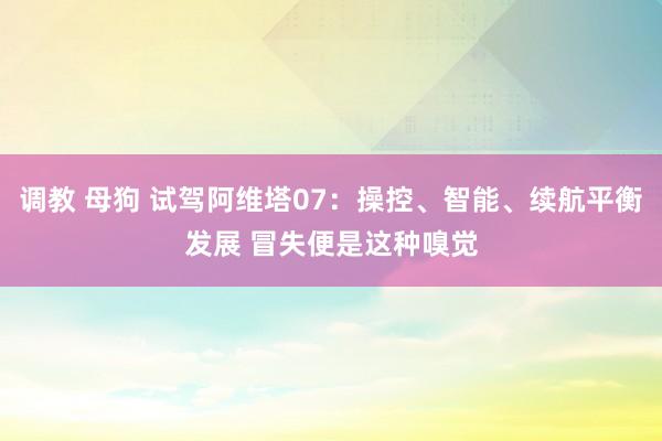 调教 母狗 试驾阿维塔07：操控、智能、续航平衡发展 冒失便是这种嗅觉