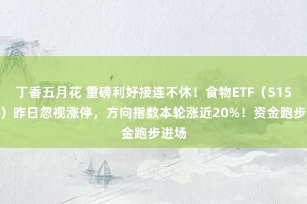 丁香五月花 重磅利好接连不休！食物ETF（515710）昨日忽视涨停，方向指数本轮涨近20%！资金跑步进场