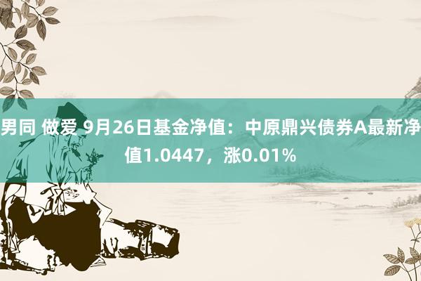 男同 做爱 9月26日基金净值：中原鼎兴债券A最新净值1.0447，涨0.01%
