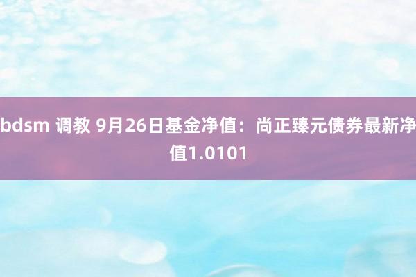 bdsm 调教 9月26日基金净值：尚正臻元债券最新净值1.0101