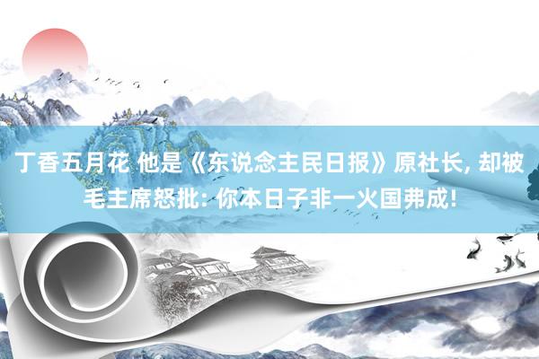 丁香五月花 他是《东说念主民日报》原社长， 却被毛主席怒批: 你本日子非一火国弗成!
