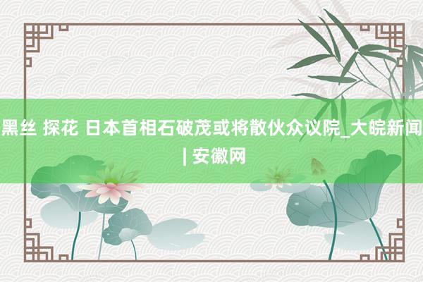 黑丝 探花 日本首相石破茂或将散伙众议院_大皖新闻 | 安徽网