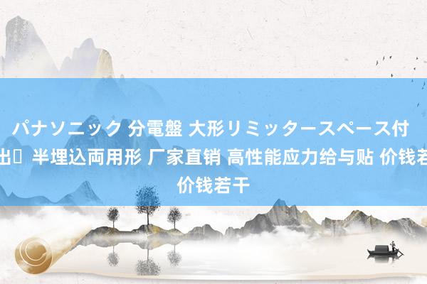 パナソニック 分電盤 大形リミッタースペース付 露出・半埋込両用形 厂家直销 高性能应力给与贴 价钱若干