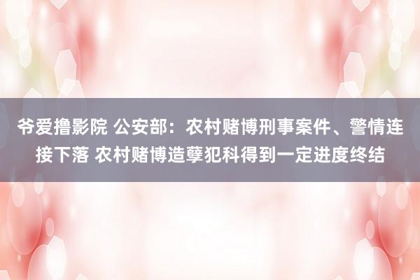 爷爱撸影院 公安部：农村赌博刑事案件、警情连接下落 农村赌博造孽犯科得到一定进度终结