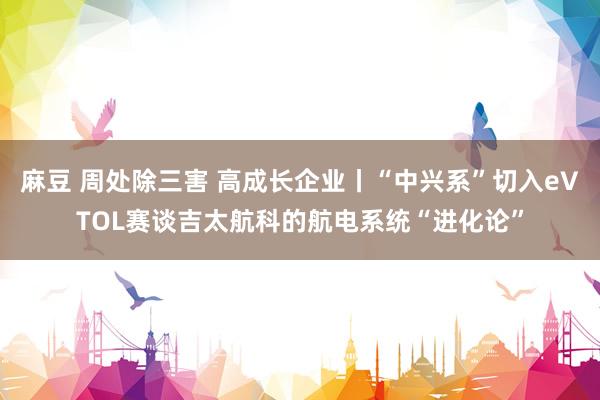 麻豆 周处除三害 高成长企业丨“中兴系”切入eVTOL赛谈吉太航科的航电系统“进化论”