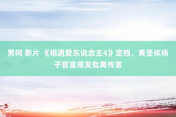 男同 影片 《相遇爱东说念主4》定档，黄圣依杨子官宣阐发仳离传言