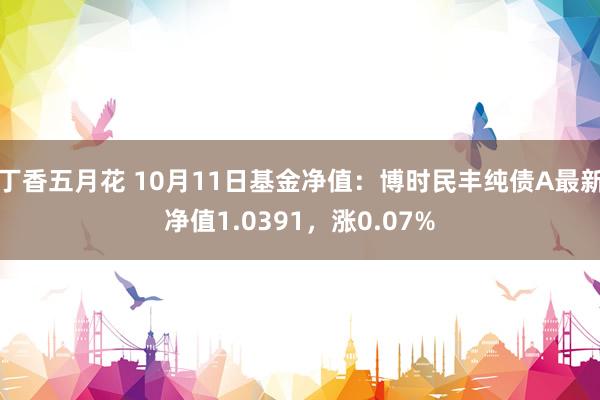 丁香五月花 10月11日基金净值：博时民丰纯债A最新净值1.0391，涨0.07%