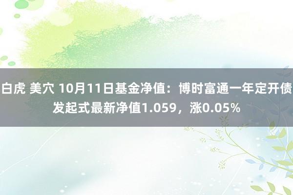 白虎 美穴 10月11日基金净值：博时富通一年定开债发起式最新净值1.059，涨0.05%