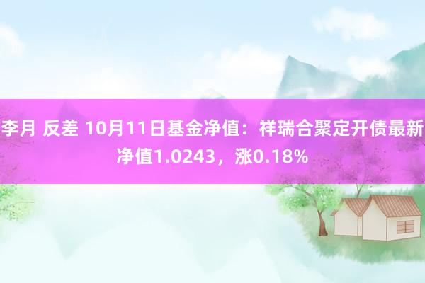 李月 反差 10月11日基金净值：祥瑞合聚定开债最新净值1.0243，涨0.18%