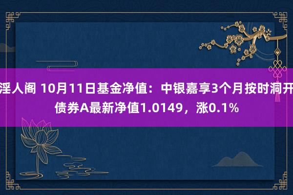 淫人阁 10月11日基金净值：中银嘉享3个月按时洞开债券A最新净值1.0149，涨0.1%