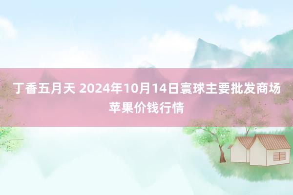丁香五月天 2024年10月14日寰球主要批发商场苹果价钱行情
