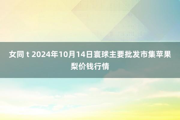 女同 t 2024年10月14日寰球主要批发市集苹果梨价钱行情