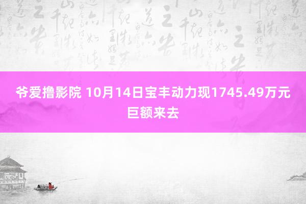 爷爱撸影院 10月14日宝丰动力现1745.49万元巨额来去
