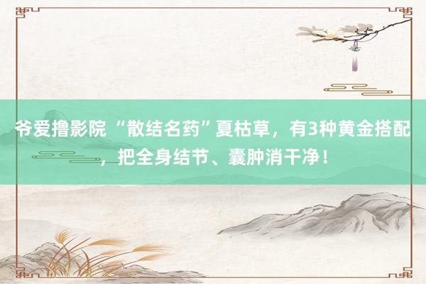 爷爱撸影院 “散结名药”夏枯草，有3种黄金搭配，把全身结节、囊肿消干净！