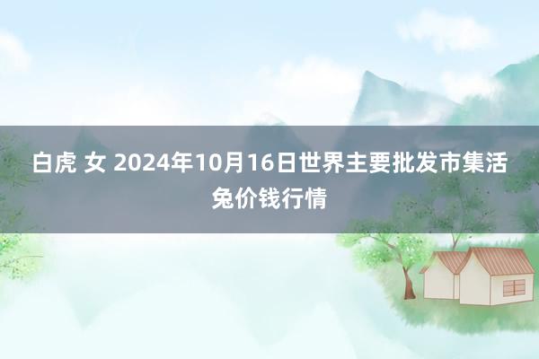 白虎 女 2024年10月16日世界主要批发市集活兔价钱行情