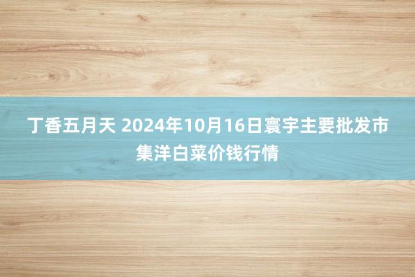 丁香五月天 2024年10月16日寰宇主要批发市集洋白菜价钱行情