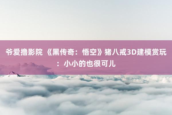 爷爱撸影院 《黑传奇：悟空》猪八戒3D建模赏玩：小小的也很可儿